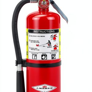 Amerex B500 5 lb ABC Dry Chemical Fire Extinguisher with 12‑18 ft-0